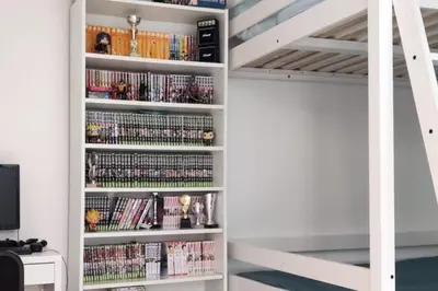 Bibliothèque dans l'appartement