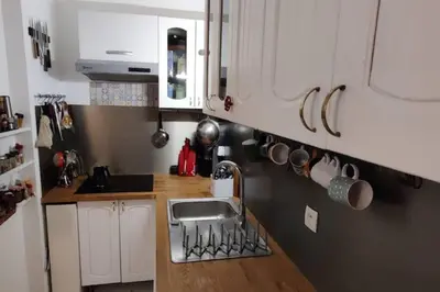 Cuisine ou kitchenette dans l'établissement Appartement Jardin Seguin CityCosy