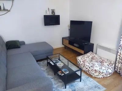 Télévision ou salle de divertissement dans l'établissement Charmant 2 pièces, au calme (meublé classé)