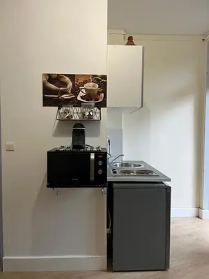 Cuisine ou kitchenette dans l'établissement Charmant studio spacieux paris