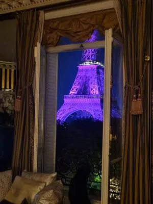 Plan de l'établissement Tour Eiffel luxury