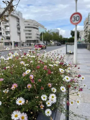Quartier de l'appartement ou autre quartier proche