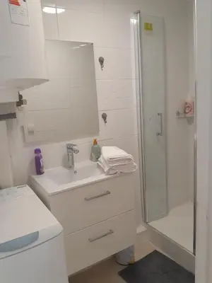 Salle de bains dans l'établissement Bel appartement à deux pas de paris