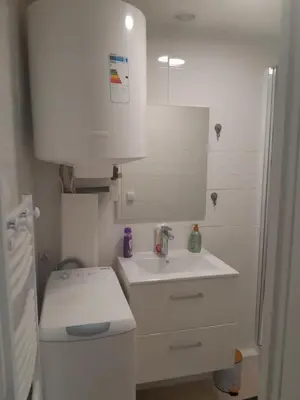 Salle de bains dans l'établissement Bel appartement à deux pas de paris