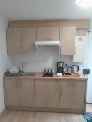Cuisine ou kitchenette dans l'établissement Bel appartement à deux pas de paris