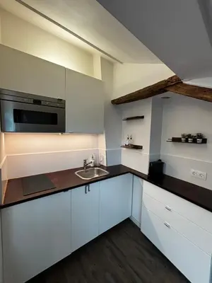 Cuisine ou kitchenette dans l'établissement Ravissant studio parisien