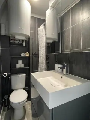 Salle de bains dans l'établissement Charmant 2 pièces, Métro direct centre de Paris, Lignes 7 et 14, Tramway Ligne T3