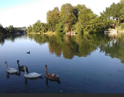 Vue sur la rivière ou le fleuve situé(e) à proximité de l'appartement