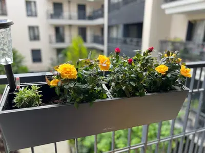 Balcon ou terrasse dans l'établissement Sérénité totale : appartement ensoleillé