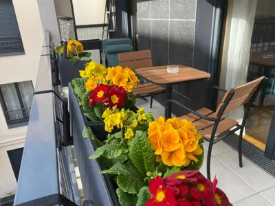 Balcon ou terrasse dans l'établissement Sérénité totale : appartement ensoleillé
