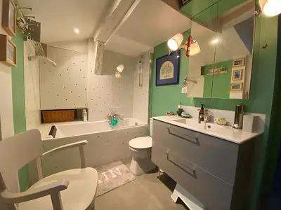 Salle de bains dans l'établissement Cosy apartment Place des Vosges