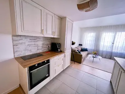 Cuisine ou kitchenette dans l'établissement Grand appartement
