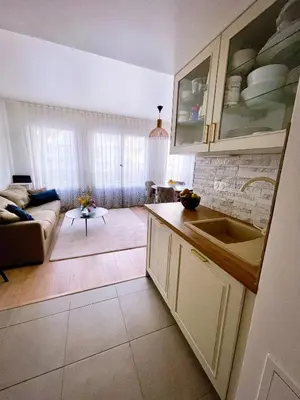 Cuisine ou kitchenette dans l'établissement Grand appartement