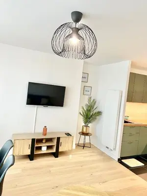 Télévision ou salle de divertissement dans l'établissement Appartement moderne & spacieux avec parking Paris