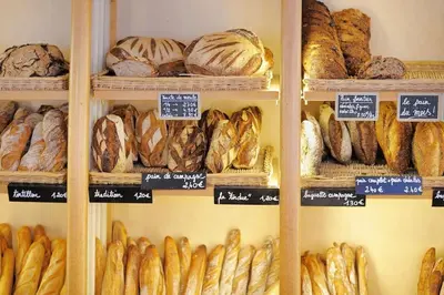 Nourriture dans l'appartement ou à proximité