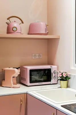 Cuisine ou kitchenette dans l'établissement Appartement élégant -Roquette -6pers