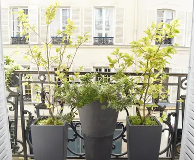Plan de l'établissement Montmartre