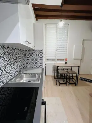 Cuisine ou kitchenette dans l'établissement Appartement au centre de Paris