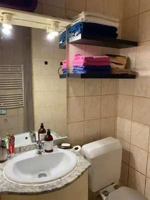Salle de bains dans l'établissement Charmant studio avec extérieur Paris 13
