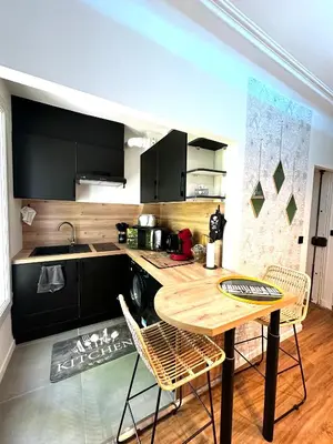 Cuisine ou kitchenette dans l'établissement Le petit Cocon Parisien