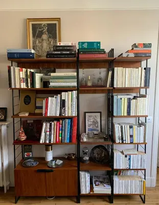 Bibliothèque dans l'appartement