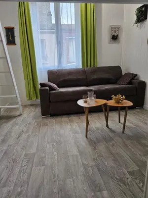 Coin salon dans l'établissement appartement calme à 10mn à pied de la villette