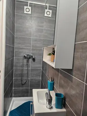 Salle de bains dans l'établissement appartement calme à 10mn à pied de la villette