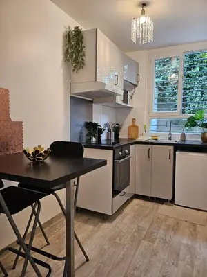 Cuisine ou kitchenette dans l'établissement appartement calme à 10mn à pied de la villette