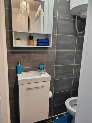 Salle de bains dans l'établissement appartement calme à 10mn à pied de la villette