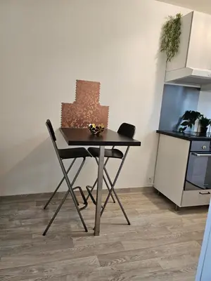 Cuisine ou kitchenette dans l'établissement appartement calme à 10mn à pied de la villette