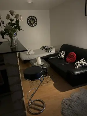 Coin salon dans l'établissement Agréable Appartementbuttes-Chaumont