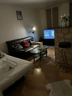 Télévision ou salle de divertissement dans l'établissement Agréable Appartementbuttes-Chaumont