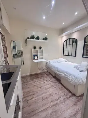 Cuisine ou kitchenette dans l'établissement Studio Exceptionnel au Marais