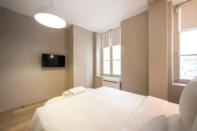 Un ou plusieurs lits dans un hébergement de l'établissement Cosy and Charming flat - 15ème - convention