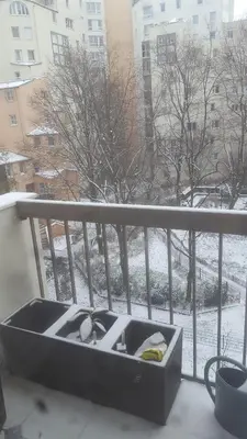 L'établissement T3 77 m2 calme+parking proche Paris & métro en hiver