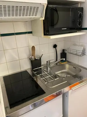 Cuisine ou kitchenette dans l'établissement Cosy studio