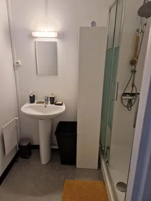 Salle de bains dans l'établissement Charmant Appartement Saint-Ouen