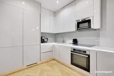 Cuisine ou kitchenette dans l'établissement Luxury apartment 4pers George V