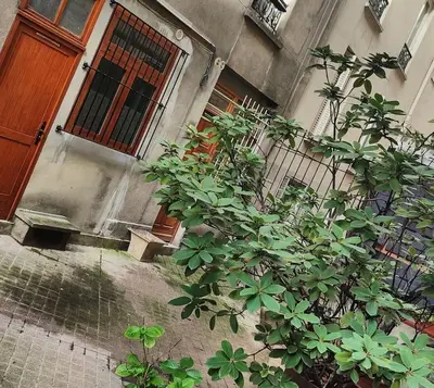 Jardin de l'établissement Studio en plein cœur de South Pi
