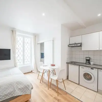 Paris studio Rue Roger in Montparnasse Denfert Rochereau - with direct train to & from CDG airport