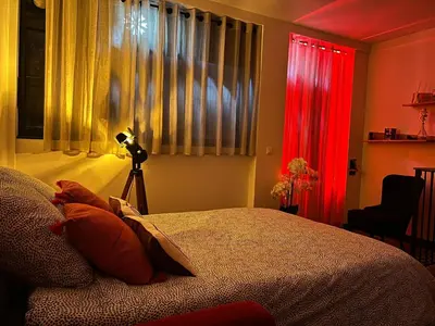 Un ou plusieurs lits dans un hébergement de l'établissement Love room in Paris
