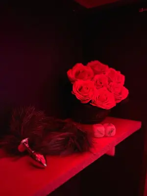Plan de l'établissement Love room in Paris