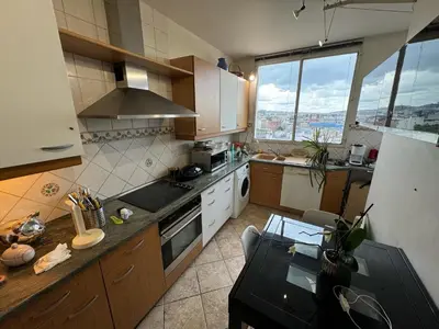 Cuisine ou kitchenette dans l'établissement Appartement Le Boulogne