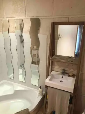 Salle de bains dans l'établissement Charmant appartement atypique Boulogne Billancourt