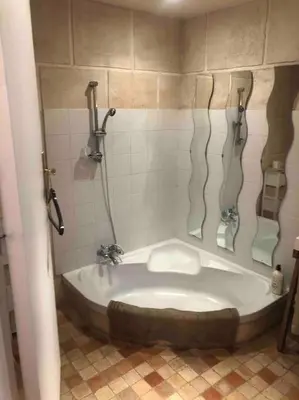 Salle de bains dans l'établissement Charmant appartement atypique Boulogne Billancourt