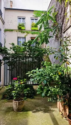 Jardin de l'établissement Petit cocon parisien ! Paris Centre - Gare du Nord