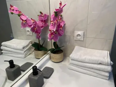 Plan de l'établissement Magnifique duplex 45 m2 aux portes de Paris Metro Barbara à 30mn Expo Porte de Versailles