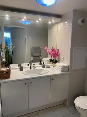 Salle de bains dans l'établissement Magnifique duplex 45 m2 aux portes de Paris Metro Barbara à 30mn Expo Porte de Versailles