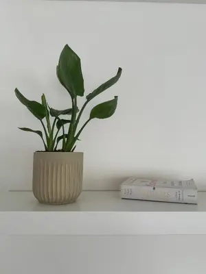 Plan de l'établissement Appartement Cosy, proche Stade de France