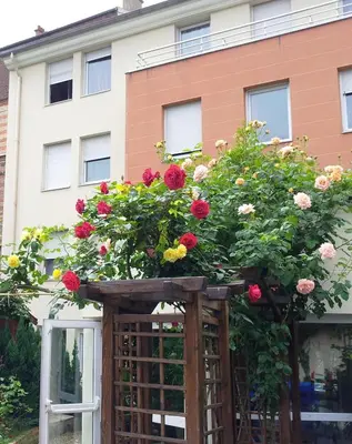 Jardin de l'établissement Residence Erasmus